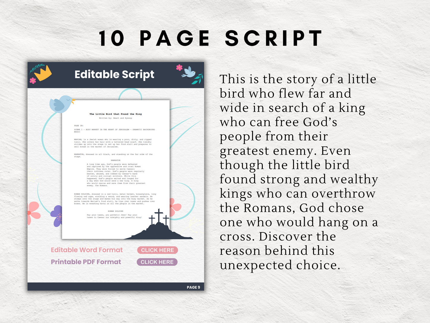 Easter Play | All-in-One Skit Kit for Children and Teens | The Little Bird Who Found a King | Editable Theatre Program | Props | Editable Script | Message | Game | Good Friday