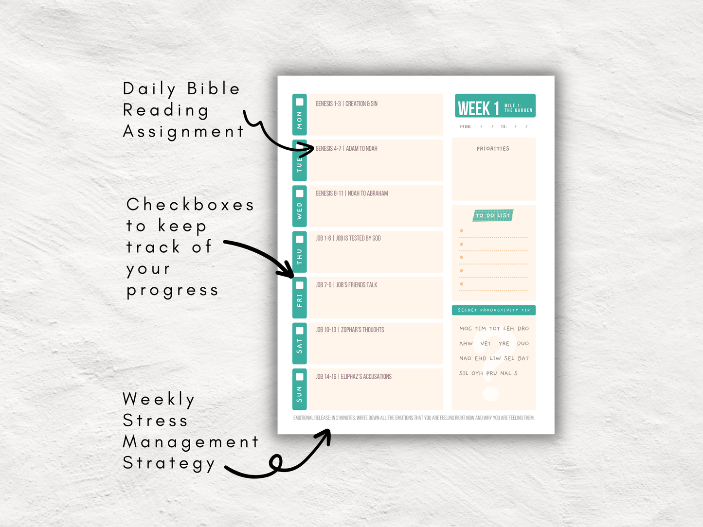 52 Week Bible Reading Plan and Planner | Read the Bible in 1 Year | Decode Scripture Inspired Productivity Tips | Weekly Printable Rewards
