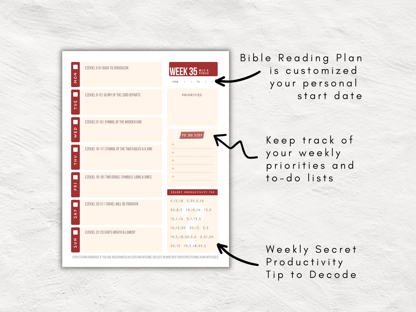 52 Week Bible Reading Plan and Planner | Read the Bible in 1 Year | Decode Scripture Inspired Productivity Tips | Weekly Printable Rewards